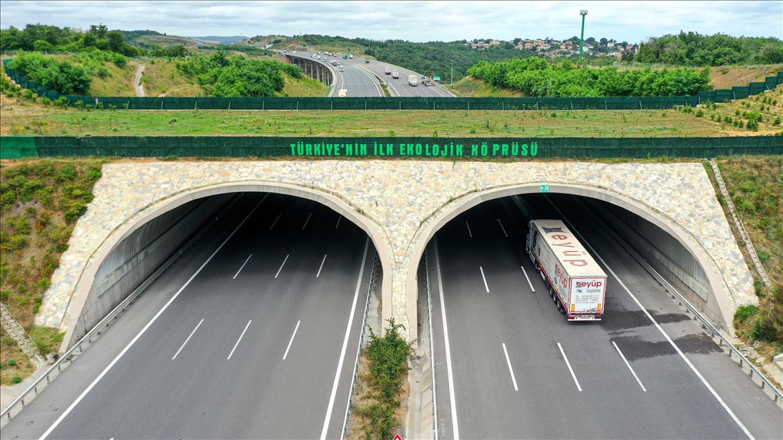 Türkiye’nin Ekolojik Köprüleri